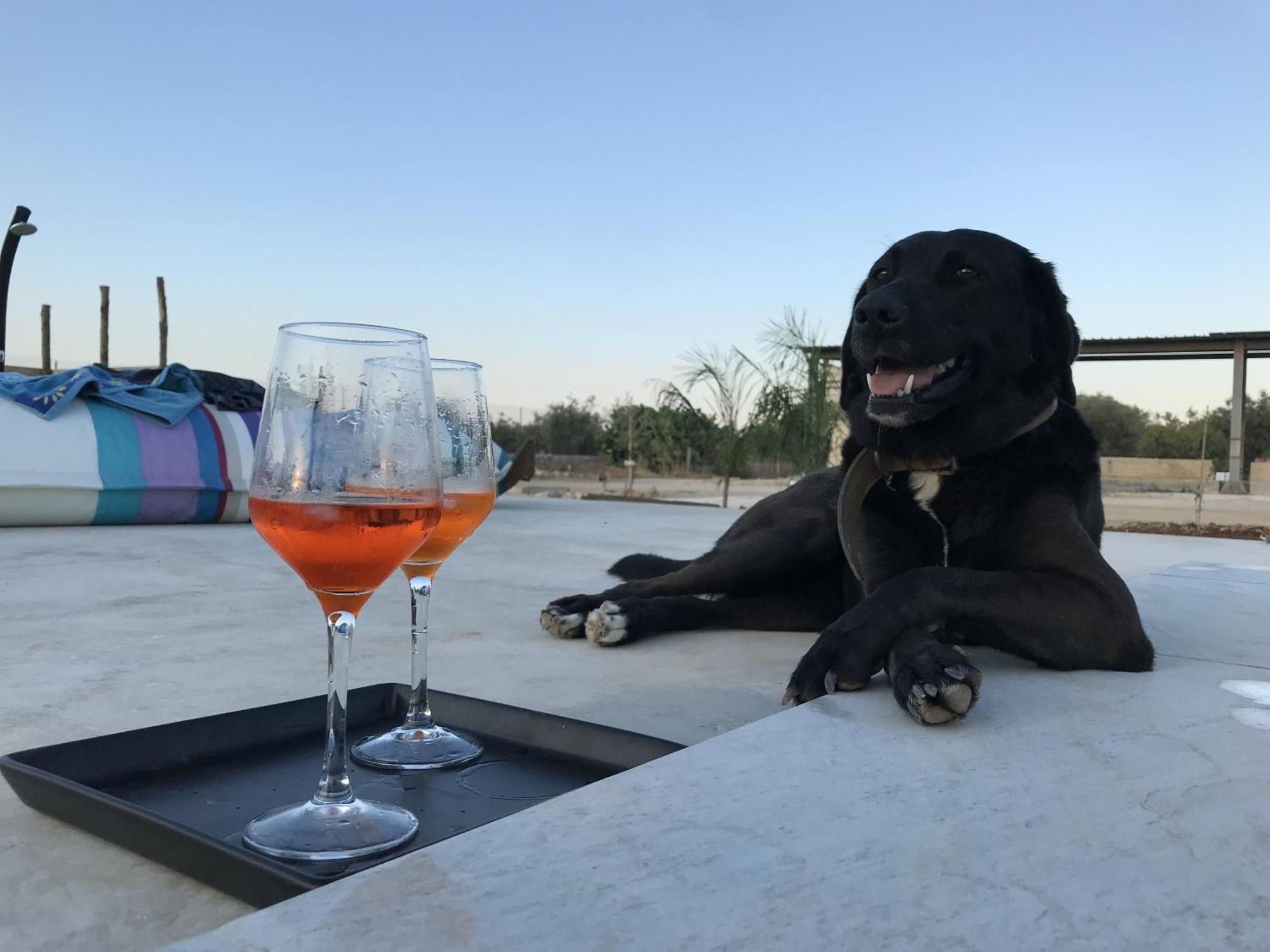 Casapiuholidaysicilia-Adults Only Ното Екстериор снимка