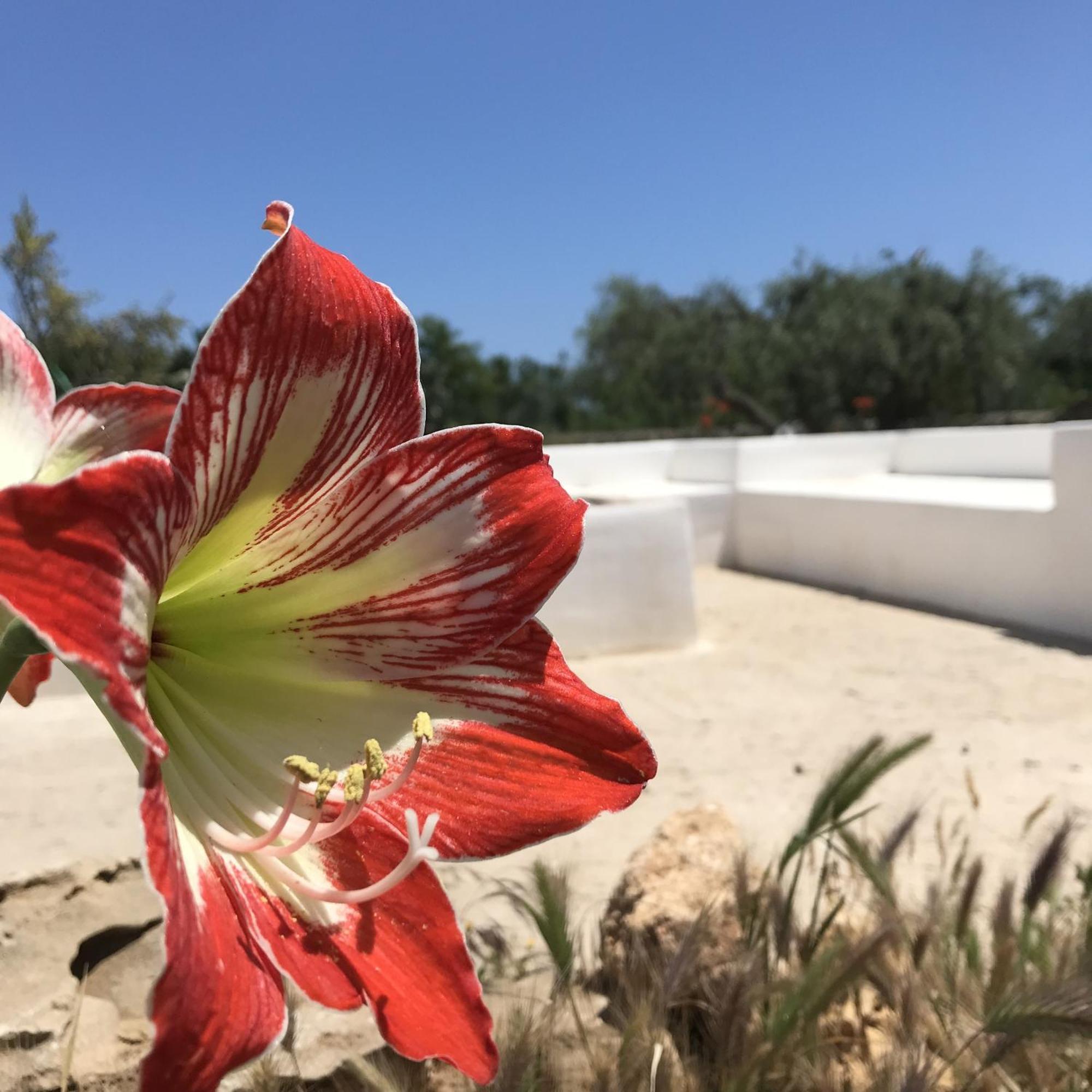 Casapiuholidaysicilia-Adults Only Ното Екстериор снимка
