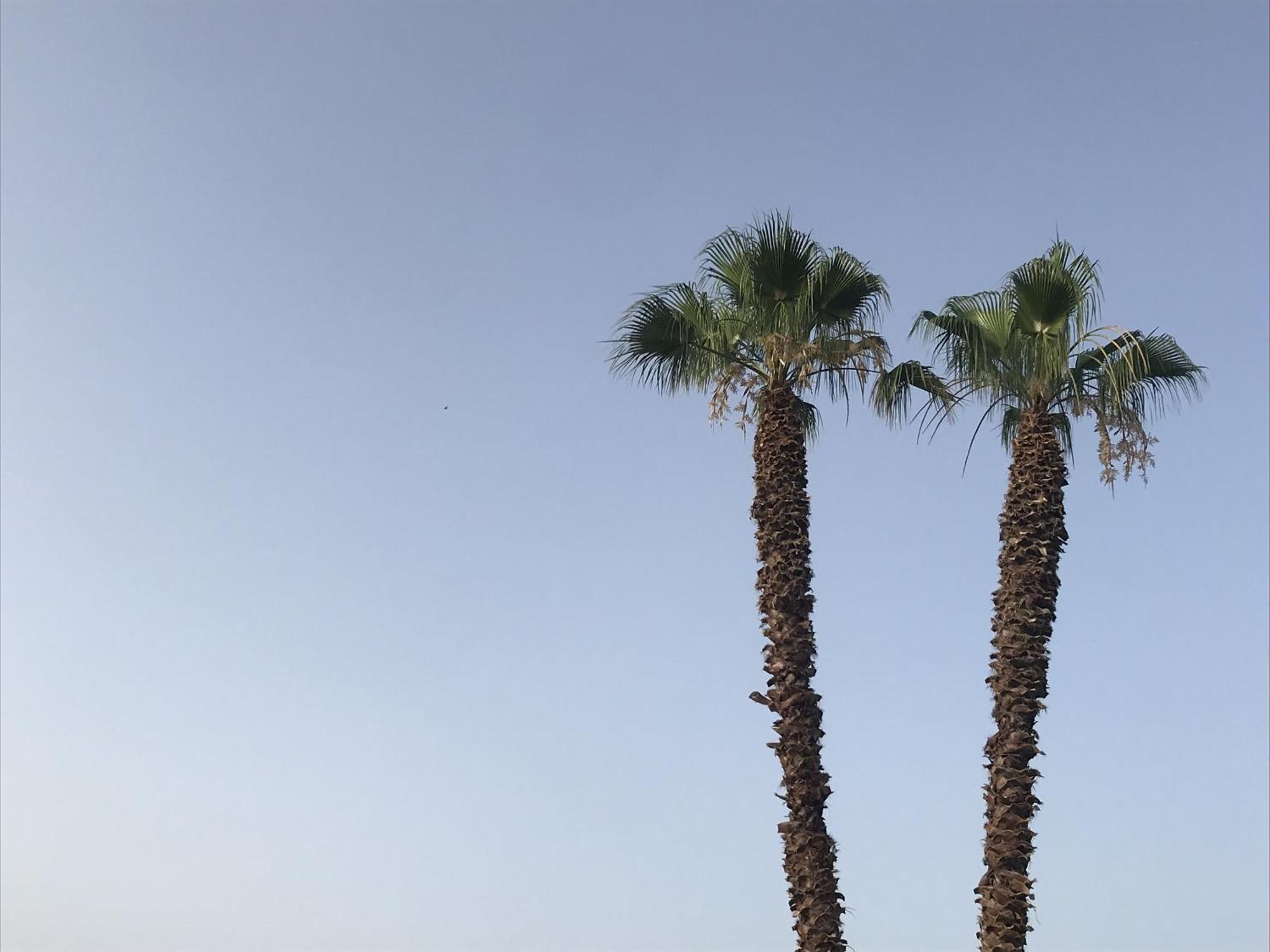 Casapiuholidaysicilia-Adults Only Ното Екстериор снимка