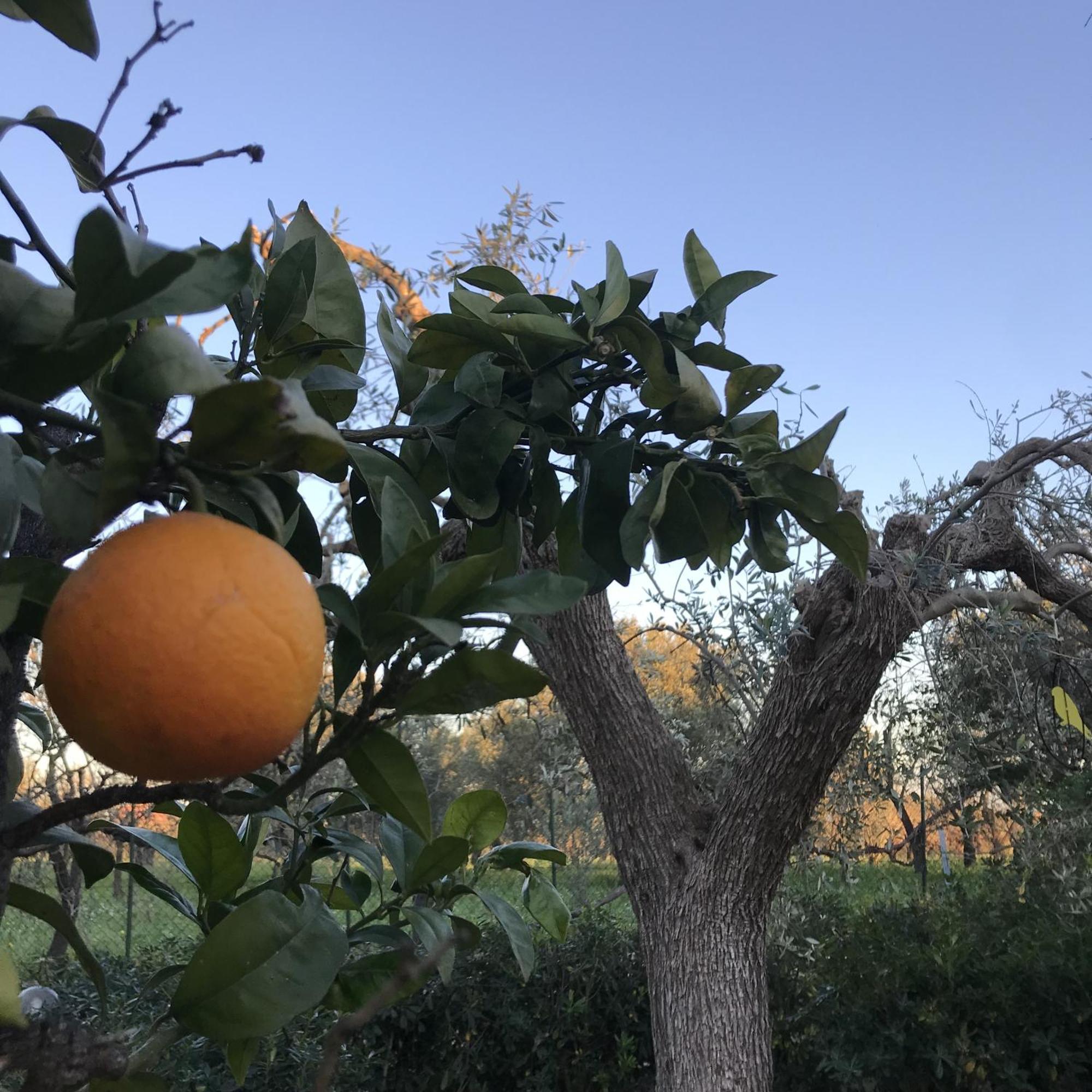 Casapiuholidaysicilia-Adults Only Ното Екстериор снимка