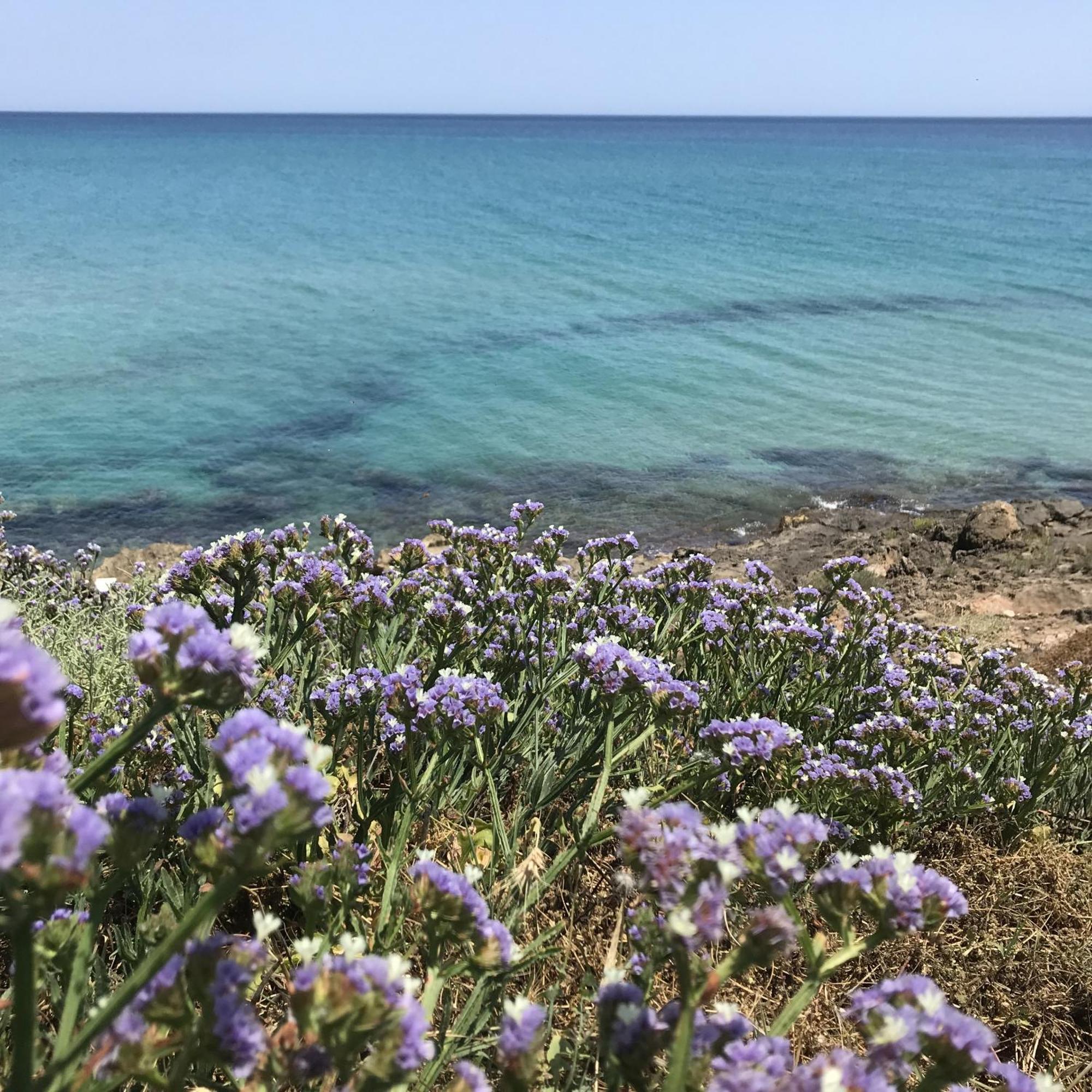 Casapiuholidaysicilia-Adults Only Ното Екстериор снимка
