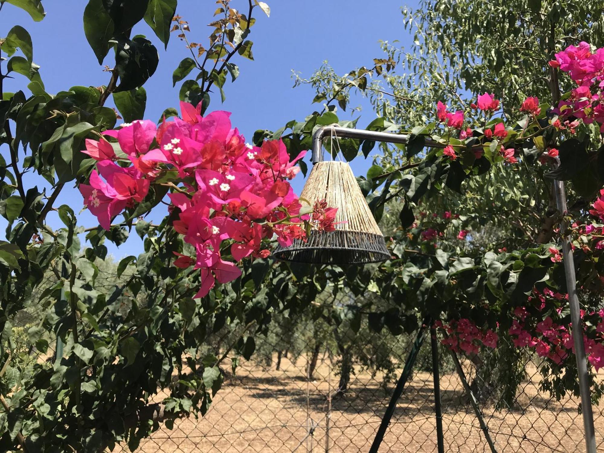 Casapiuholidaysicilia-Adults Only Ното Стая снимка